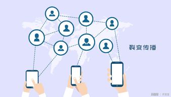 開發(fā)寶全面升級會員權(quán)益 為企業(yè)提供定制化專屬軟件外包服務
